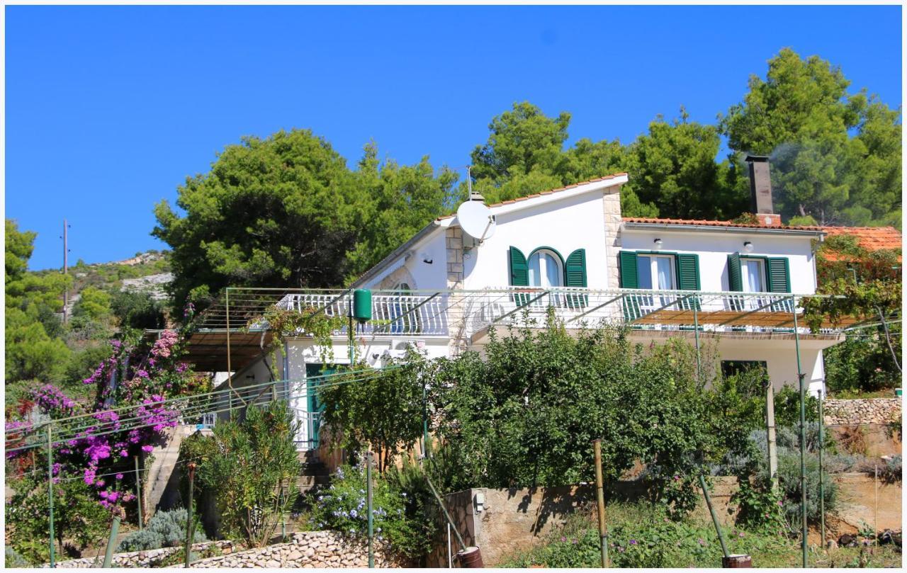 Apartment Katarina And House Marieta Dolac Exterior photo